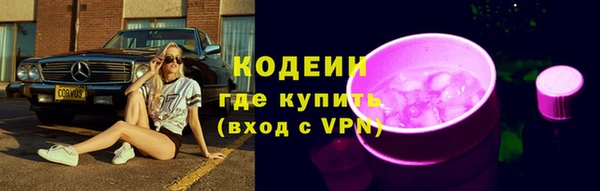 ECSTASY Богданович