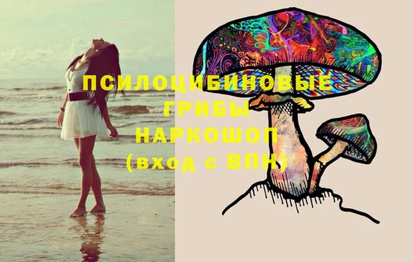 экстази Богородск