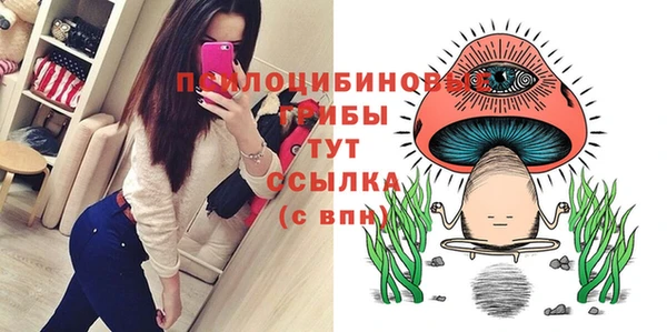 экстази Богородск