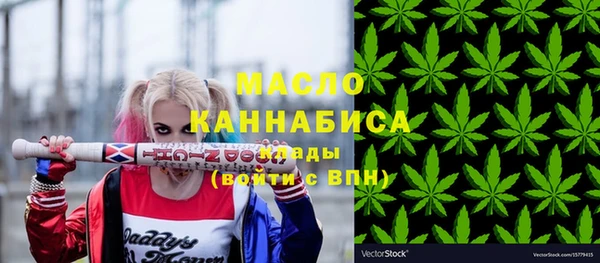 ECSTASY Богданович