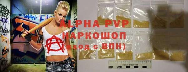 ECSTASY Богданович