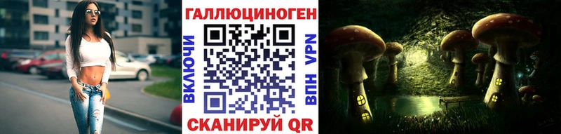 Галлюциногенные грибы Psilocybe  blacksprut сайт  Бирюсинск 